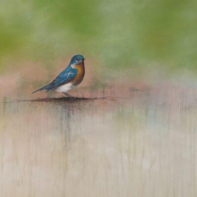 783F876C-7767-4E26-B416-455AE275AB2F_1_105_c