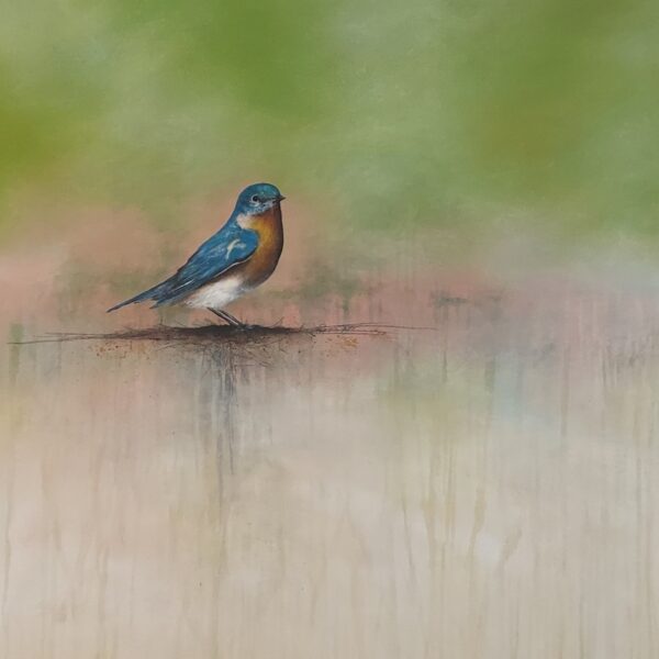 783F876C-7767-4E26-B416-455AE275AB2F_1_105_c