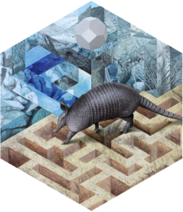Armadillo by Vincent Fink