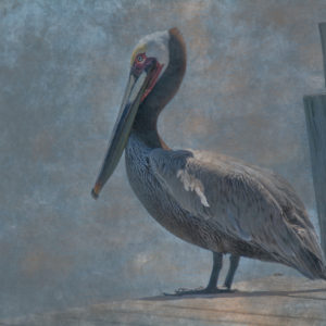 Etsy-Pelican-on-Dock-adj