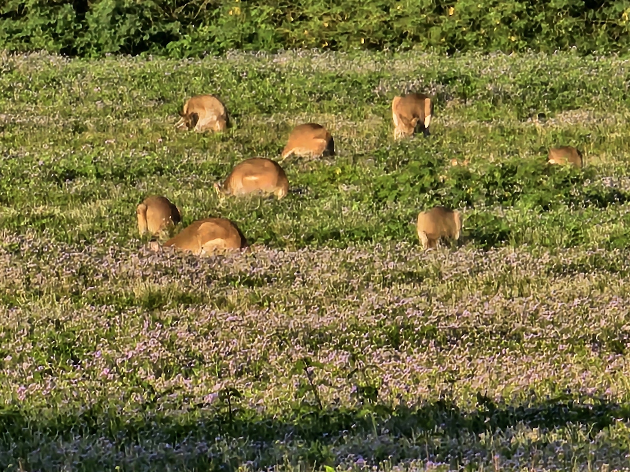 Christina Lynn Todaro Adventures